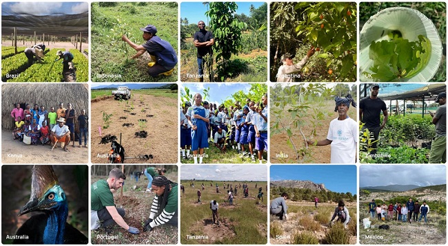 Tree-Nation-in-the-World.jpg