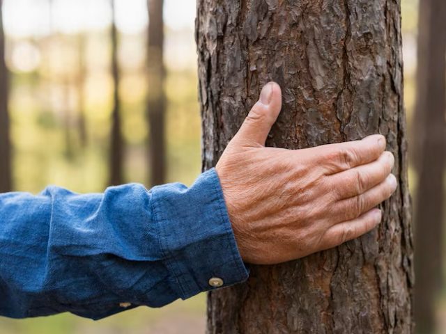 https://www.ecosilverpaper.com/wp-content/uploads/2026/07/uomo-piu-anziano-che-tiene-albero-mentre-backpacking_23-2148641959-640x480.jpg